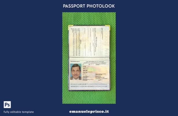 modello di aspetto fotografico del passaporto della Tanzania in stile verificato